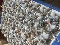 20221030 100838620 IOS