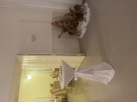 IMG 4258